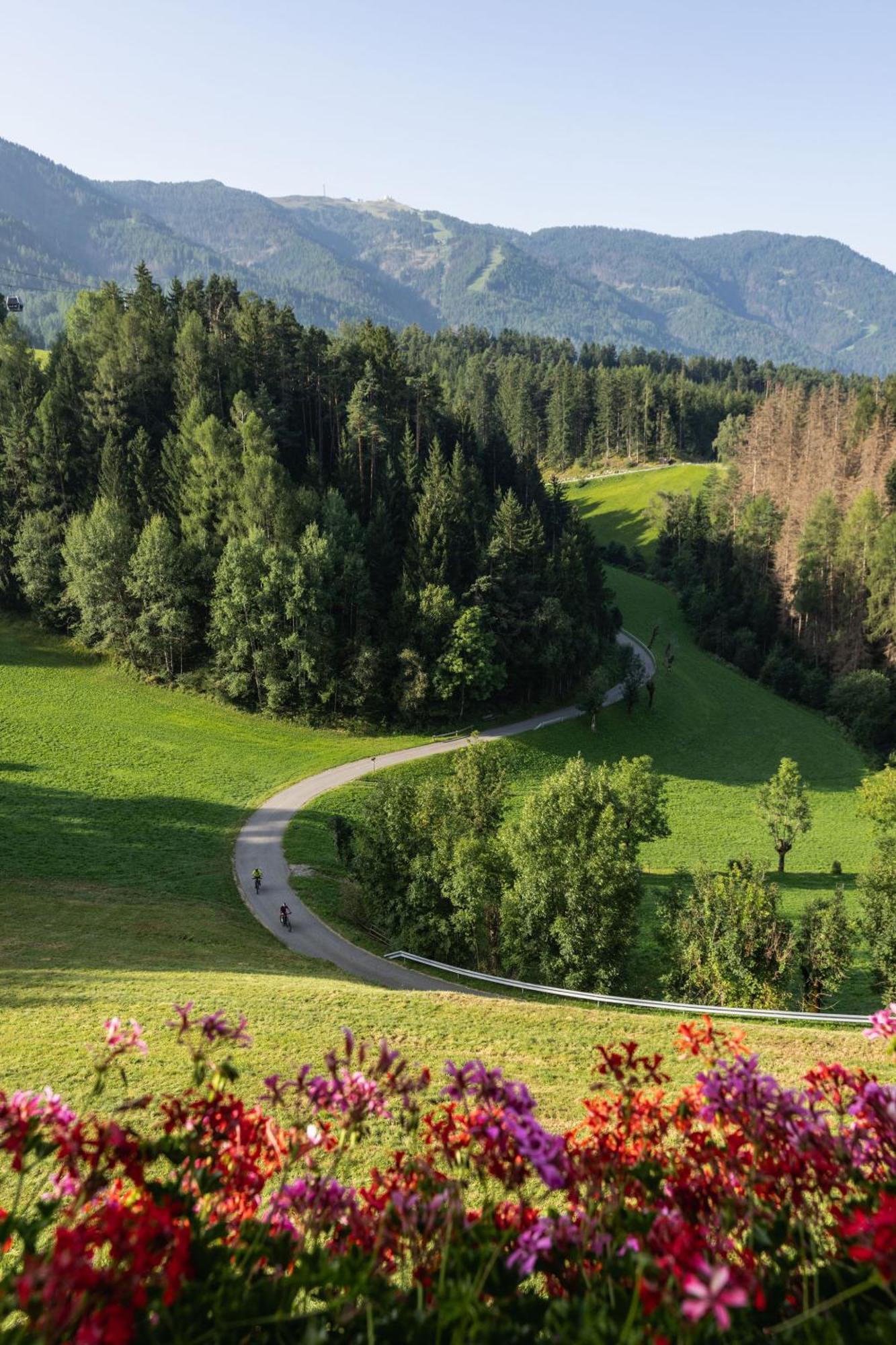 Апартаменты App Mittermairhof Рисконе Экстерьер фото